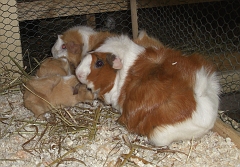 Mit Mutter Romy und Tante Etiquette